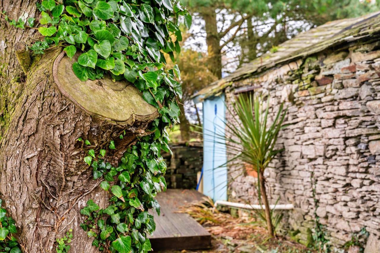 Casa vacanze Finest Retreats - Fishermans Tintagel